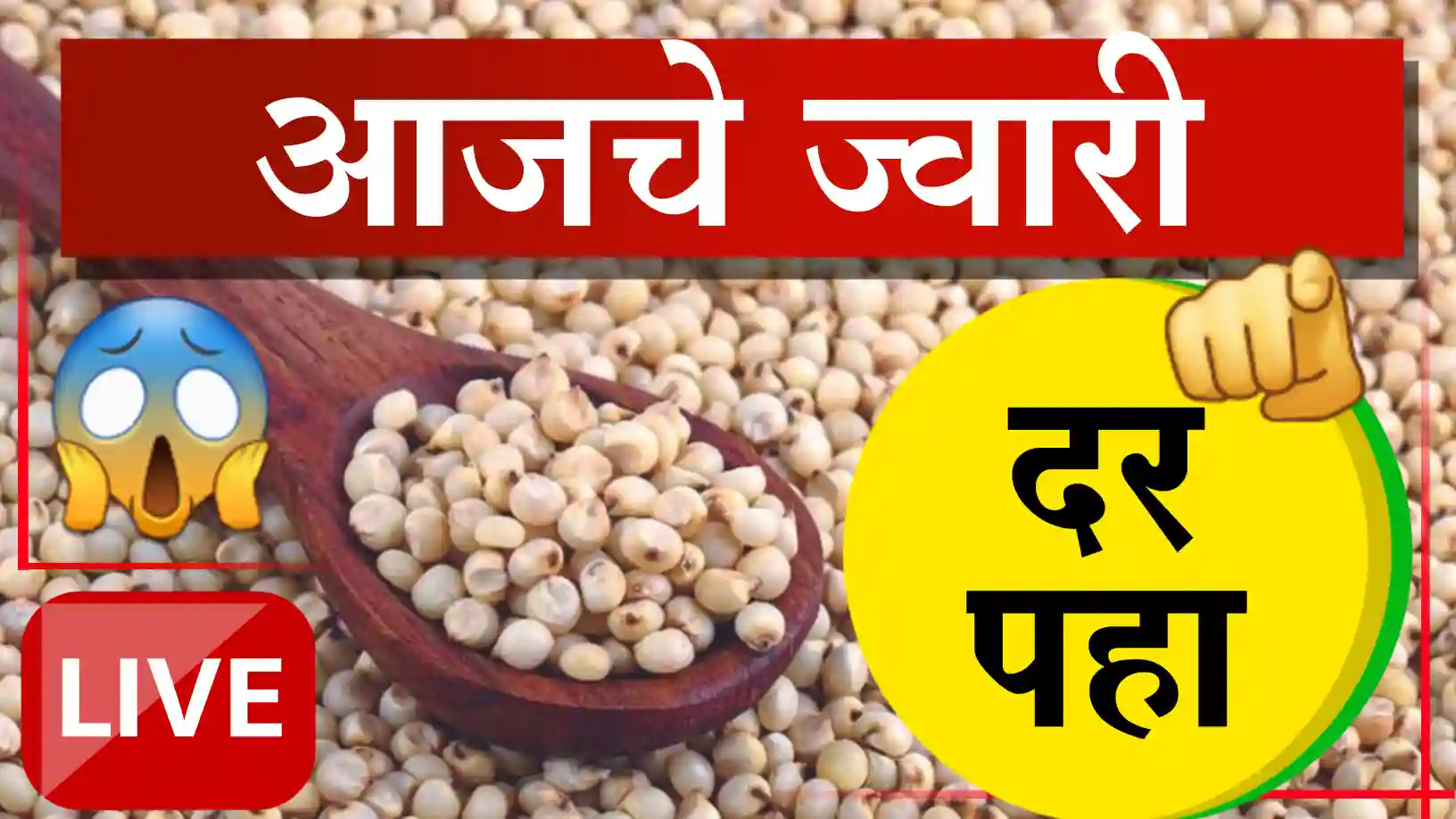 sorghum Rate