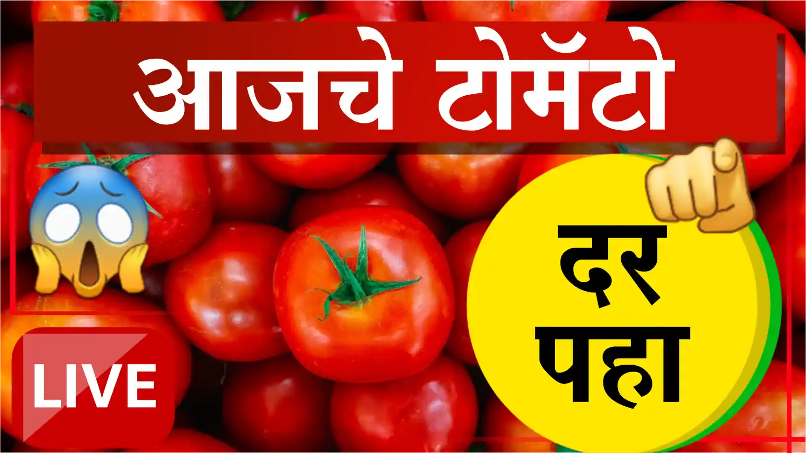 tomato rate