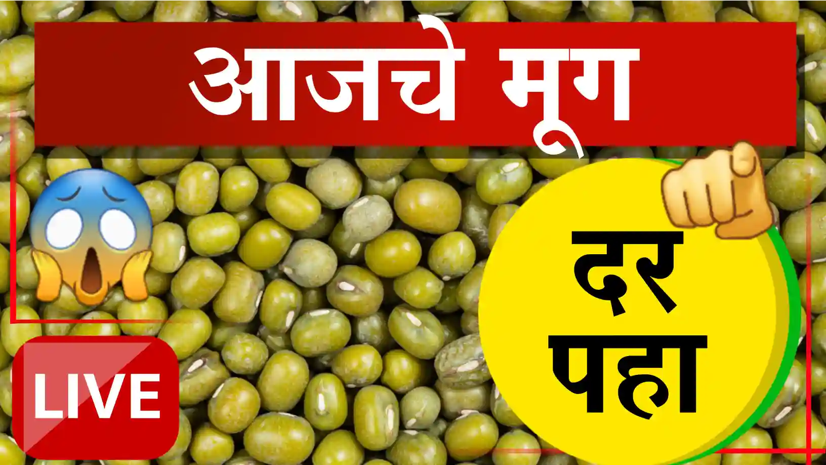 Mung Bajar bhav