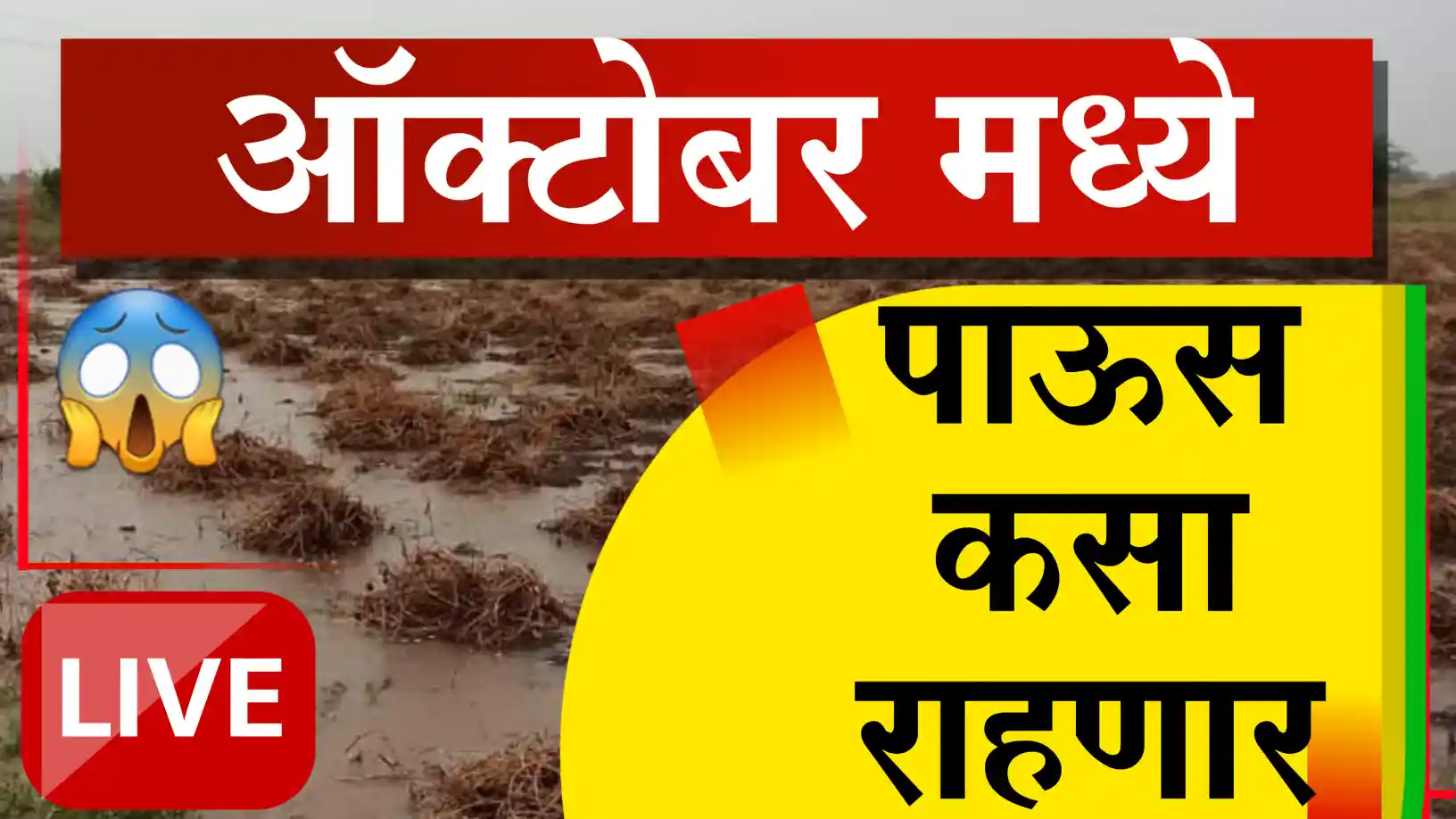 Maharashtra Weather Forecast
