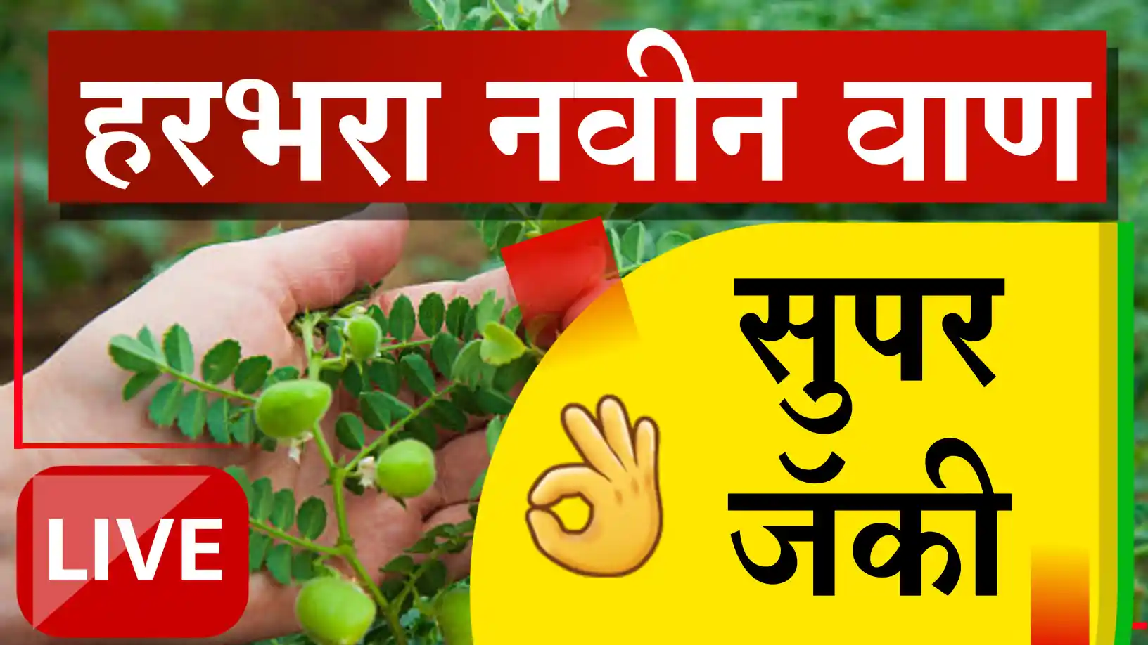 सुपर जाकी