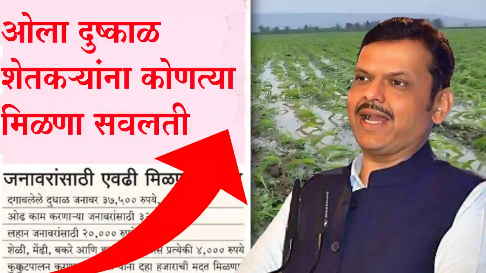 ओला दुष्काळ